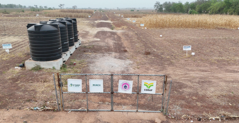 When the Harvest Ends, Innovation Continues: A Dry-Season Story from the CSIR-SARI Technology Park